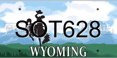 SOT628 Wyoming License Plate