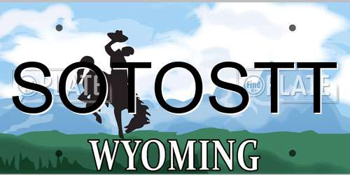 SOTOSTT Wyoming License Plate