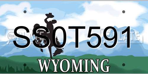 SS0T591 Wyoming License Plate