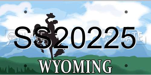 SS20225 Wyoming License Plate