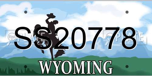 SS20778 Wyoming License Plate