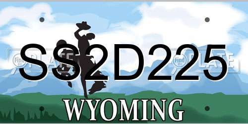 SS2D225 Wyoming License Plate