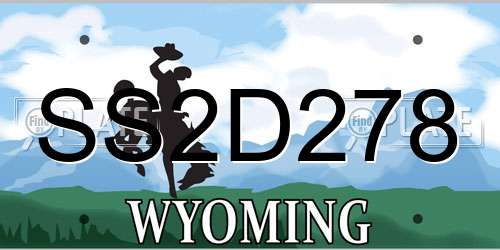 SS2D278 Wyoming License Plate