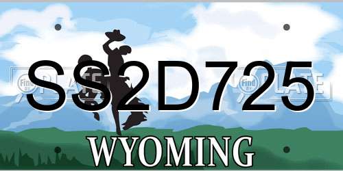 SS2D725 Wyoming License Plate