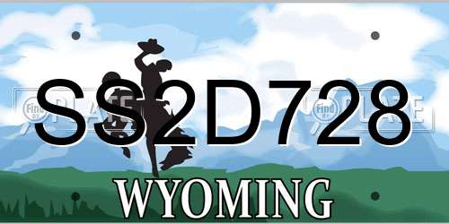 SS2D728 Wyoming License Plate