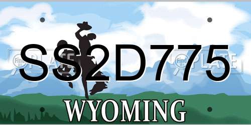 SS2D775 Wyoming License Plate