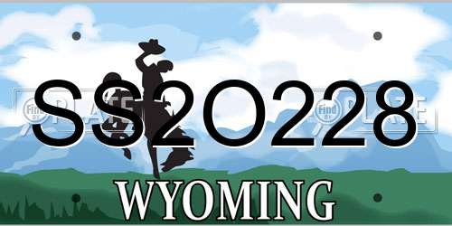 SS2O228 Wyoming License Plate