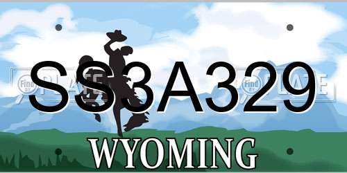 SS3A329 Wyoming License Plate