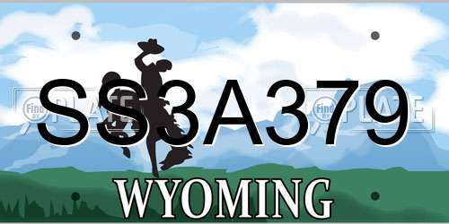 SS3A379 Wyoming License Plate