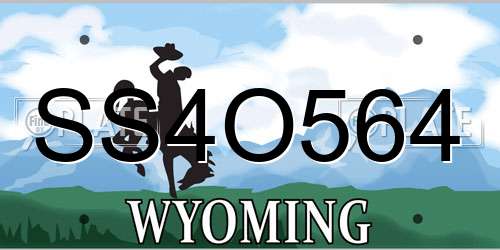 SS4O564 Wyoming License Plate