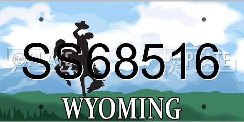 SS68516 Wyoming License Plate