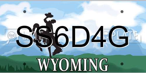 SS6D4G Wyoming License Plate