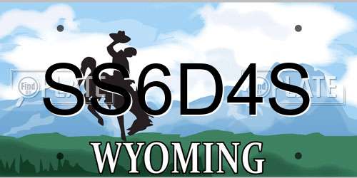 SS6D4S Wyoming License Plate