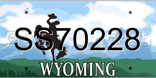 SS70228 Wyoming License Plate