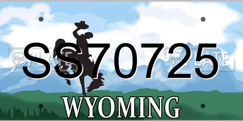 SS70725 Wyoming License Plate