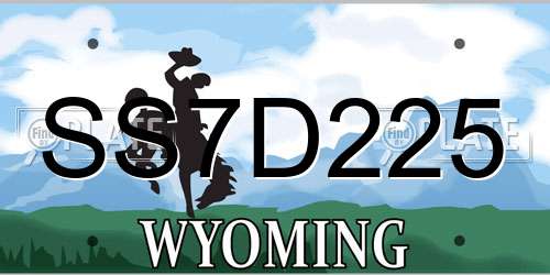 SS7D225 Wyoming License Plate