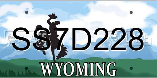 SS7D228 Wyoming License Plate