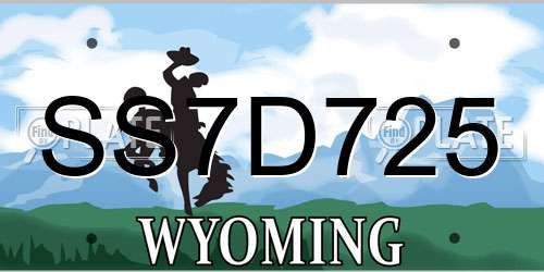SS7D725 Wyoming License Plate