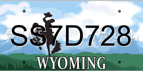 SS7D728 Wyoming License Plate