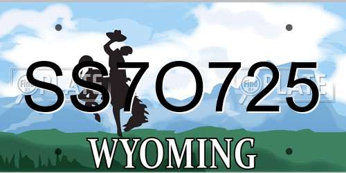 SS7O725 Wyoming License Plate