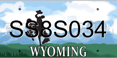 SS8S034 Wyoming License Plate