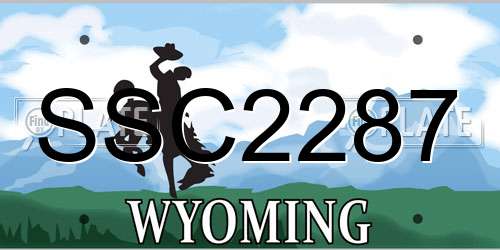 SSC2287 Wyoming License Plate