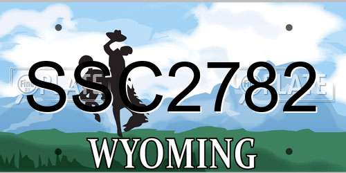 SSC2782 Wyoming License Plate