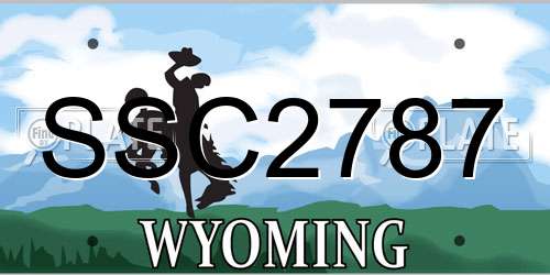 SSC2787 Wyoming License Plate