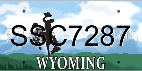 SSC7287 Wyoming License Plate