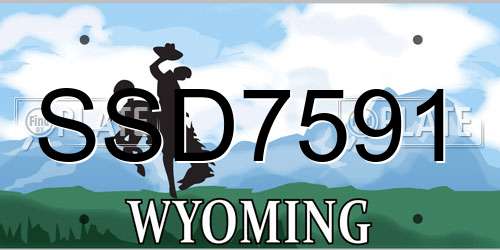 SSD7591 Wyoming License Plate
