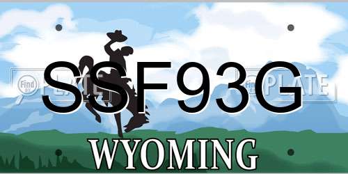 SSF93G Wyoming License Plate