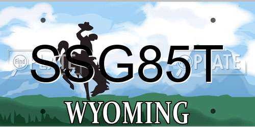 SSG85T Wyoming License Plate