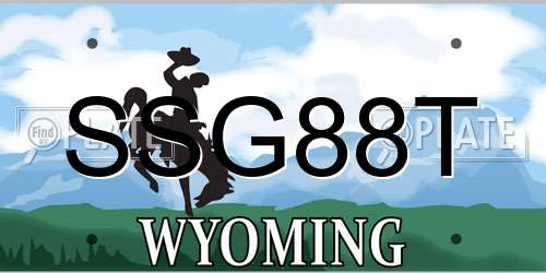 SSG88T Wyoming License Plate