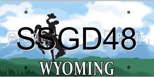 SSGD48 Wyoming License Plate