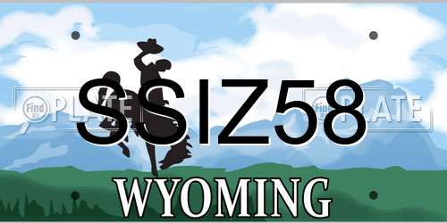 SSIZ58 Wyoming License Plate