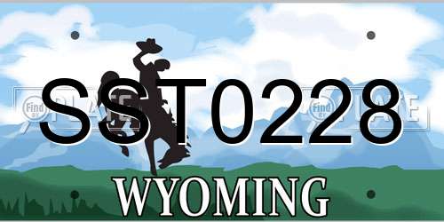 SST0228 Wyoming License Plate
