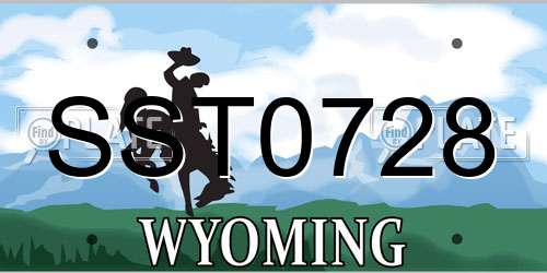 SST0728 Wyoming License Plate