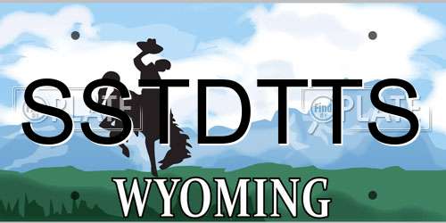 SSTDTTS Wyoming License Plate