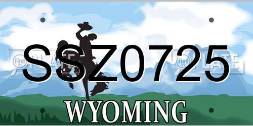 SSZ0725 Wyoming License Plate