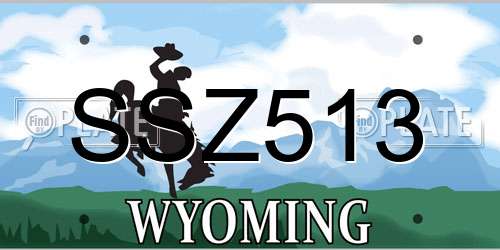SSZ513 Wyoming License Plate