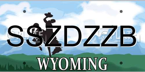 SSZDZZB Wyoming License Plate