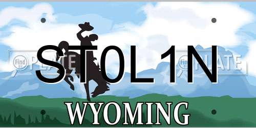 ST0L1N Wyoming License Plate
