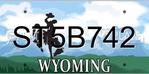 ST5B742 Wyoming License Plate