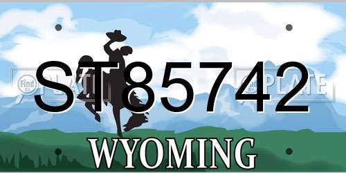 ST85742 Wyoming License Plate