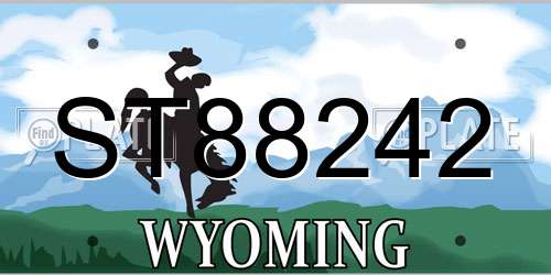 ST88242 Wyoming License Plate