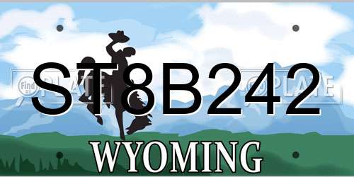 ST8B242 Wyoming License Plate