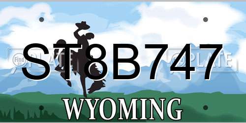 ST8B747 Wyoming License Plate