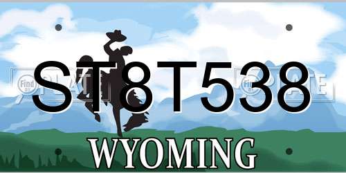 ST8T538 Wyoming License Plate