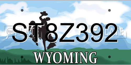 ST8Z392 Wyoming License Plate