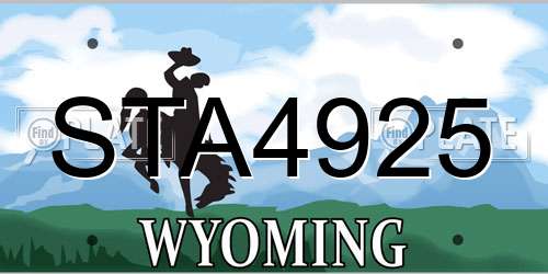 STA4925 Wyoming License Plate